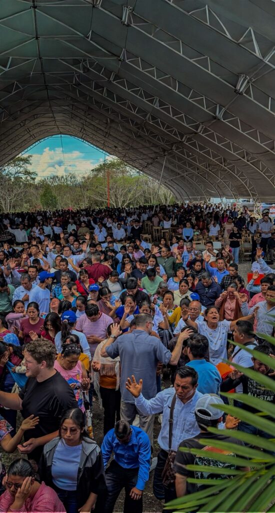 WhatsApp Image 2026 04 25 at 12.12.54 2